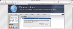Bravo IceCat, le navigateur Libre